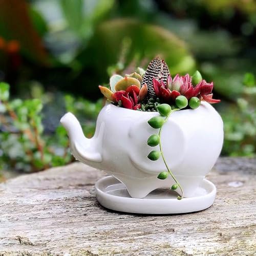 GeLive White Elephant Succulent Planter Ceramic Plant Pot Window Box with Saucer Animal Indoor Tabletop Decor Fun Gift 5 Inch (Mom Elephant) - Image 3