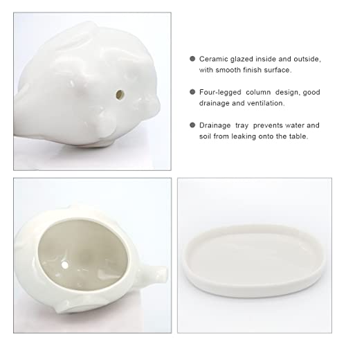 GeLive White Elephant Succulent Planter Ceramic Plant Pot Window Box with Saucer Animal Indoor Tabletop Decor Fun Gift 5 Inch (Mom Elephant) - Image 2