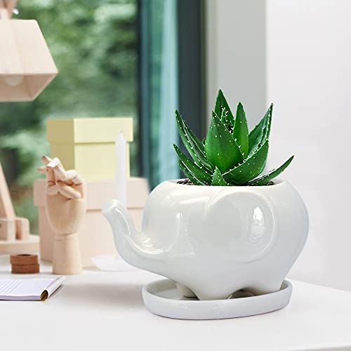 GeLive White Elephant Succulent Planter Ceramic Plant Pot Window Box with Saucer Animal Indoor Tabletop Decor Fun Gift 5 Inch (Mom Elephant) - Image 5
