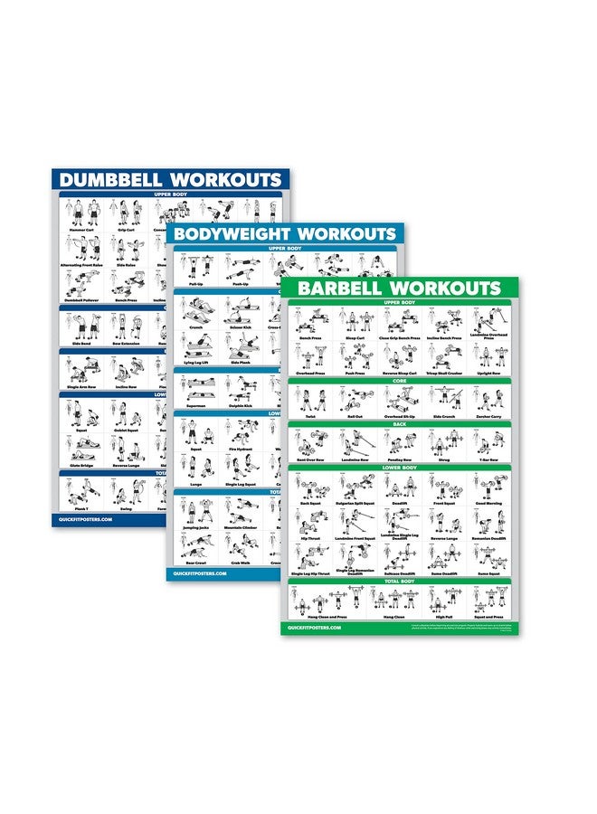 Palace Learning Palace Learning QuickFit 3 Pack - Dumbbell Workouts + Bodyweight Exercises + Barbell Routine Poster Set - Set of 3 Workout Charts (Laminated, 18" x 27") - Image 1