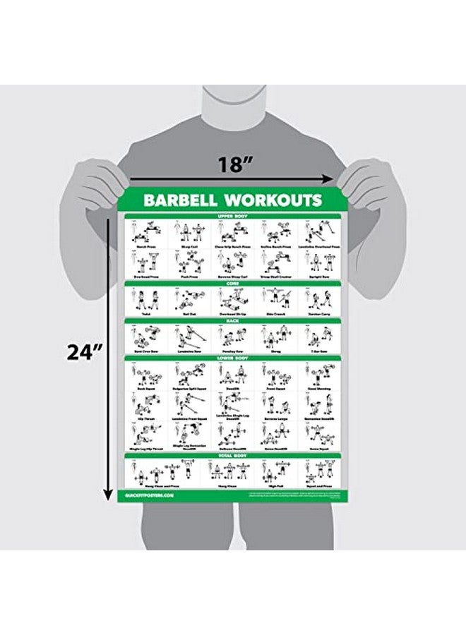 Palace Learning Palace Learning QuickFit 3 Pack - Dumbbell Workouts + Bodyweight Exercises + Barbell Routine Poster Set - Set of 3 Workout Charts (Laminated, 18" x 27") - Image 2