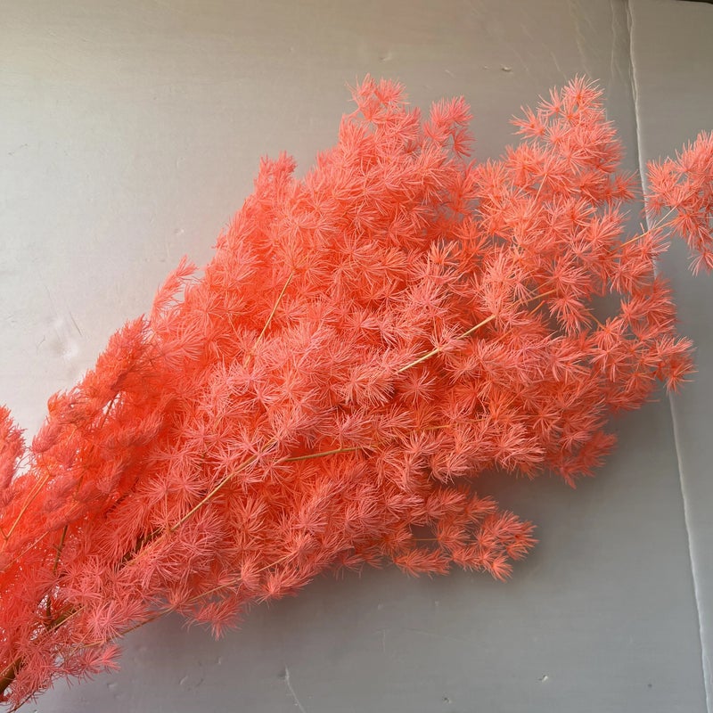 Bluejw Manufacturers Penglai Pine Dried Flower Bouquet - New Color Dried Plants for DIY Home Decor - Image 1