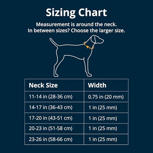 Ruffwear Web Reaction Dog Collar EscapeProof Security Buckle Adjustable AntiSlip Martingale Collar with Durable Nylon Tubelok Webbing Silent ID Attachment River Rock Green 2023 - Image 3