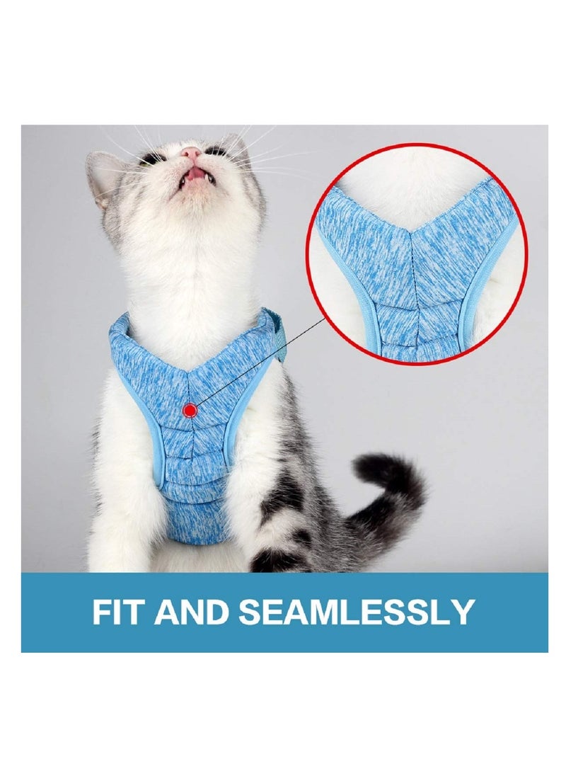 Generic - Cat Harness and Leash Set for Walking Escape Proof Adjustable Soft Padded Vest with Running Cushioning Comfortable Outdoor Jacket for Pet Kitten (L Blue) - Image 1