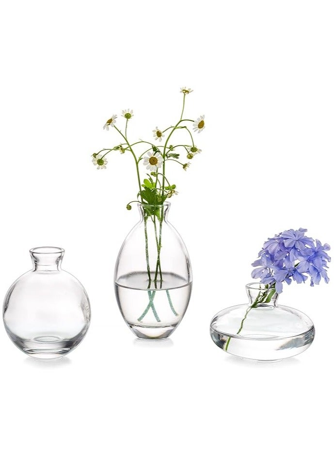 Elegant Set of 3 Small Clear Glass Vases - Perfect for Fresh Flowers & Home Decor - Image 1