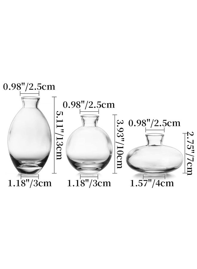 Elegant Set of 3 Small Clear Glass Vases - Perfect for Fresh Flowers & Home Decor - Image 2