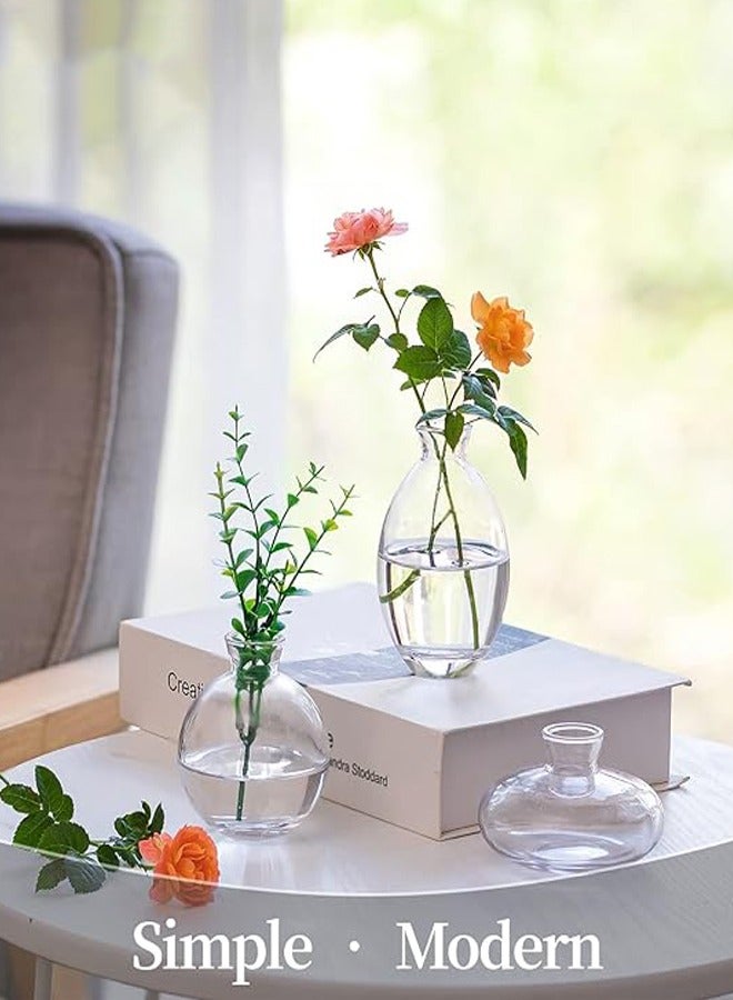 Elegant Set of 3 Small Clear Glass Vases - Perfect for Fresh Flowers & Home Decor - Image 4