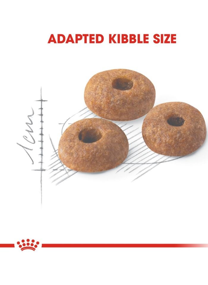 ROYAL CANIN Feline Health Nutrition Fit 32 - 10 KG - Image 2