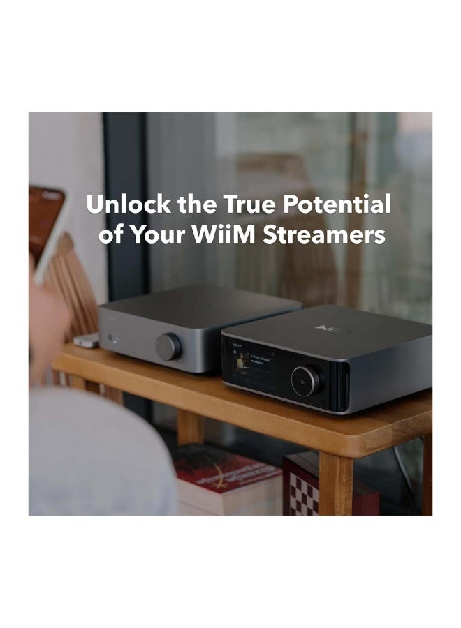 وييم مكبر صوت WiiM Vibelink - Image 2