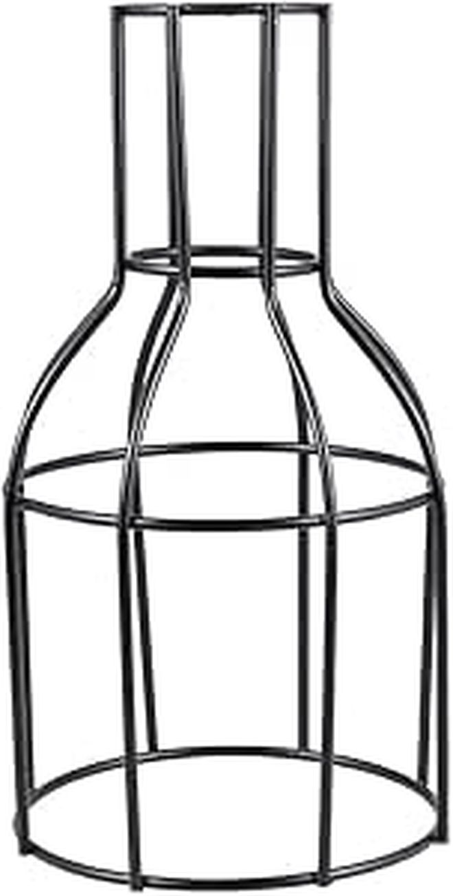 Small Metal Iron Planter Frame Glass Hydroponic Tube Vase For Home Office Decor - Image 1