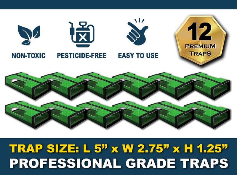 MaxGuard Silverfish + Insect Traps (12 pcs Box Trap) | Non-Toxic Extra Sticky Glue Traps, Kill All Silverfish, Centipedes, and Other Crawling Bugs and Insects | - Image 3