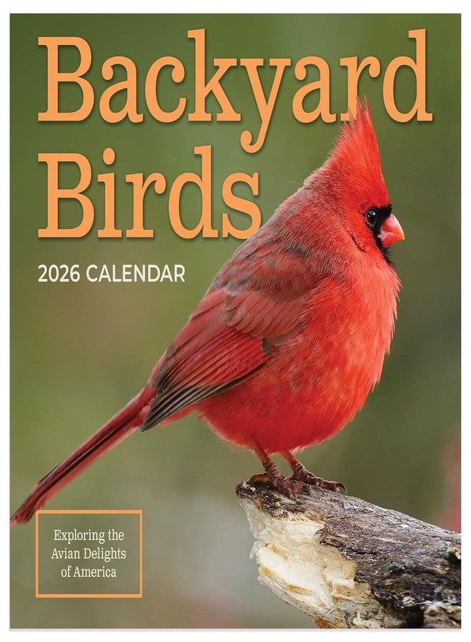 TF Publishing 2026 Backyard Birds Mini Calendar with Monthly Grids for Appointments and Scheduling - Vertical Small Wall Calendar 2026 with Premium Gloss Paper for Home and Office Organization - 7x7in - Image 1