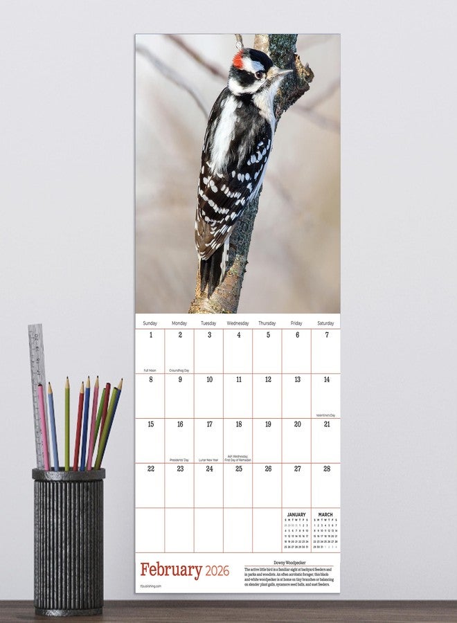 TF Publishing 2026 Backyard Birds Mini Calendar with Monthly Grids for Appointments and Scheduling - Vertical Small Wall Calendar 2026 with Premium Gloss Paper for Home and Office Organization - 7x7in - Image 4