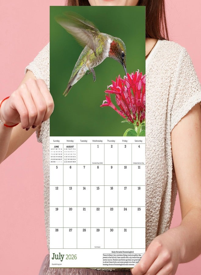 TF Publishing 2026 Backyard Birds Mini Calendar with Monthly Grids for Appointments and Scheduling - Vertical Small Wall Calendar 2026 with Premium Gloss Paper for Home and Office Organization - 7x7in - Image 5