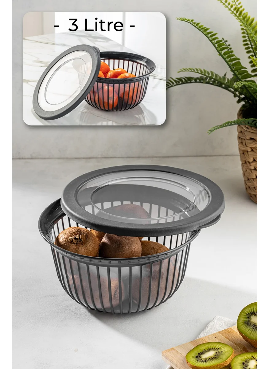 Vienev 3 Liter Polyline Bowl with Lid Anthracite