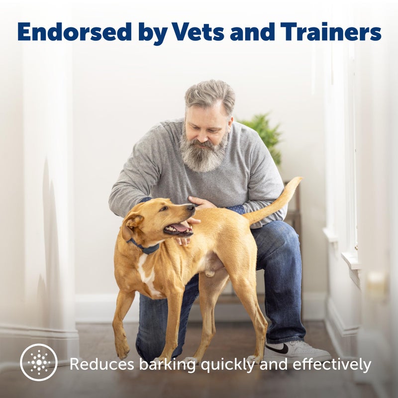 PetSafe Rechargeable Bark Collar, 15 Levels of Automatically Adjusting Static Correction - Rechargeable, Waterproof - Reduces Barking and Whining - for Small, Medium, and Large Dogs Over 8 lb - Image 3