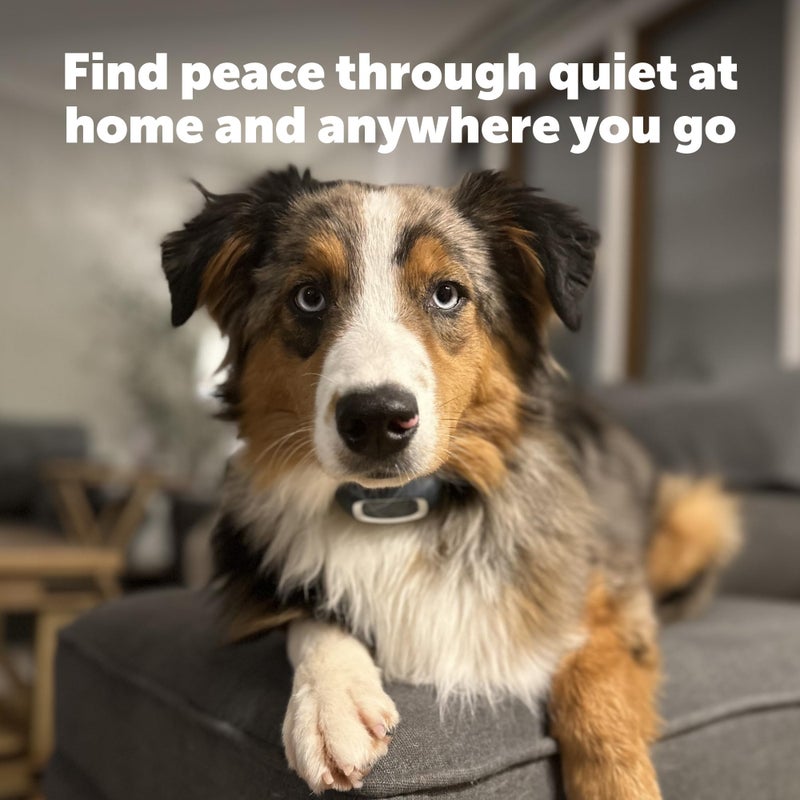 PetSafe Rechargeable Bark Collar, 15 Levels of Automatically Adjusting Static Correction - Rechargeable, Waterproof - Reduces Barking and Whining - for Small, Medium, and Large Dogs Over 8 lb - Image 5