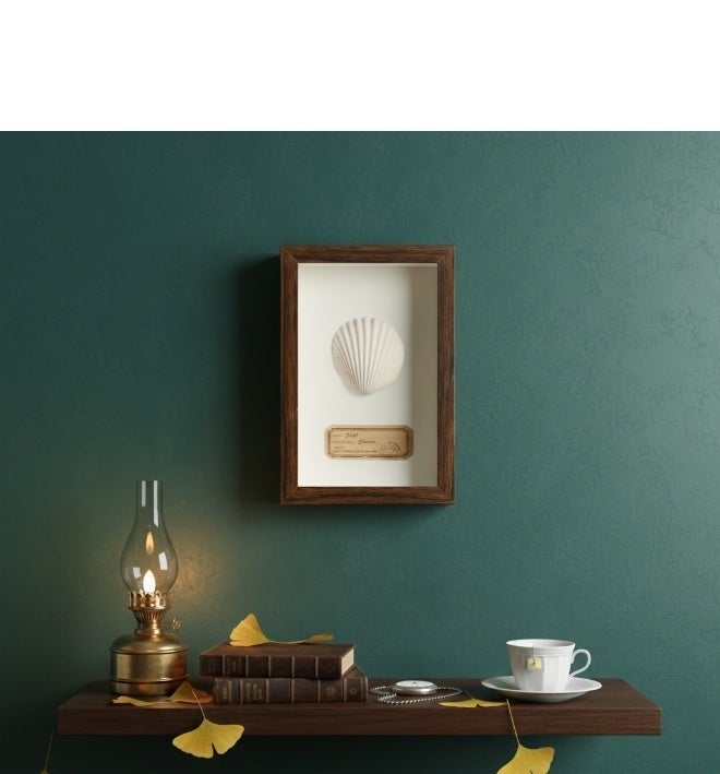 Natural Seashell Specimen Frame – Authentic White Scallop Shell with Certificate | Premium Wood Frame | 12.5 × 17.5 cm - Image 4