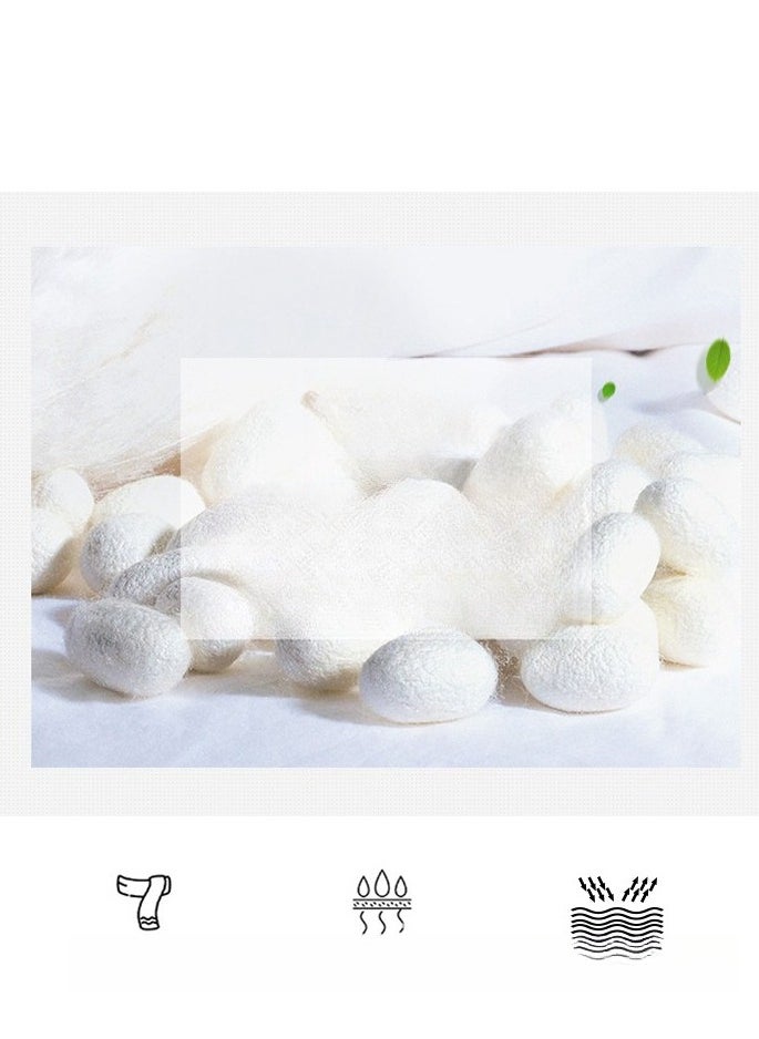 Generic Women's Mulberry Silk Scarf  - Image 3