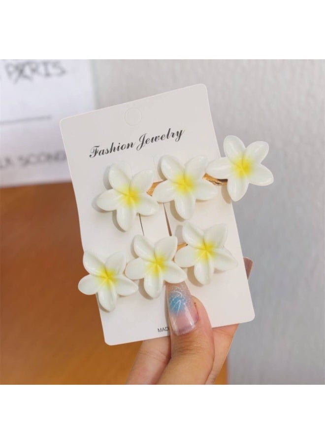 Flower-Shaped Hair Claw Clip – 2 Pieces on Card – Elegant Modern Hair Clip – Strong Yet Lightweight Hold – Suitable for All Hair Types and Daily Use - Image 1