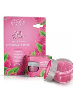 Eva Eva Skin Care Exfoliating Lip Scrub Raspberry Flavored 20 GM 