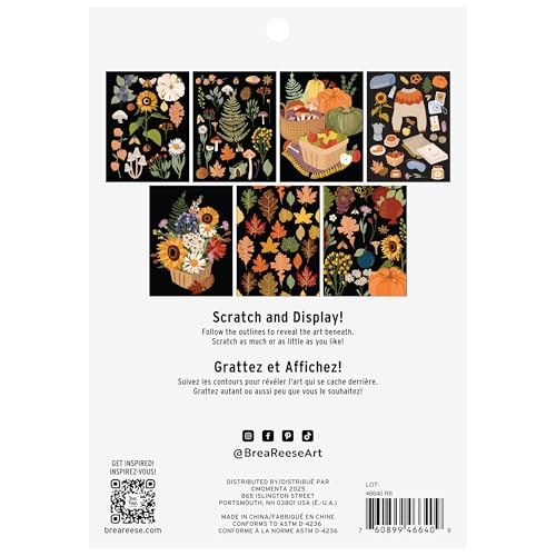 Brea Reese Scratch Art Paper Pad Fall Foraging 14 Sheets 7 Guided Art Designs Metallic Accents Stylus Brush 6x8 Pages DIY Adult Craft Kit - Image 5