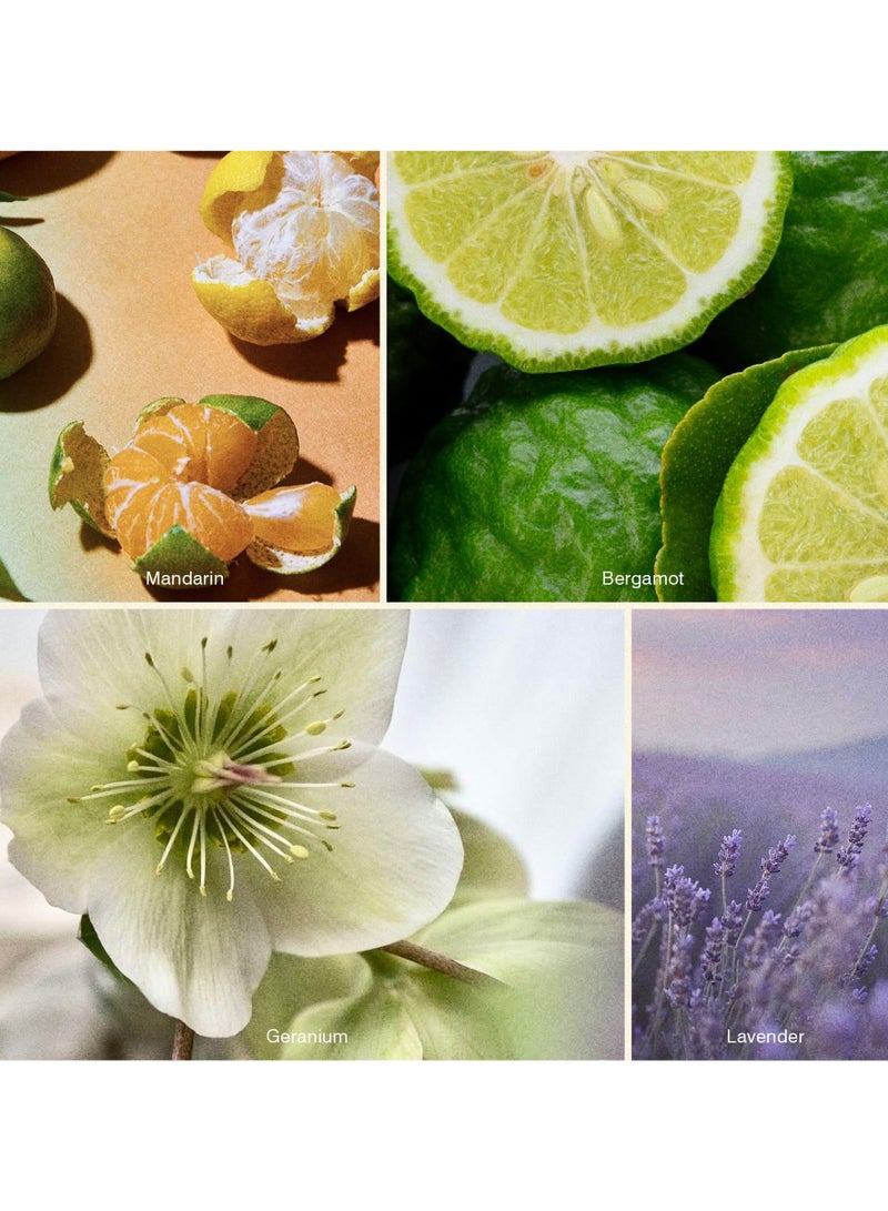 ISCENT | Harmonizing Boost – Fragrance Oil Refill for Ensō Mini Diffuser 10ml | Mandarin, Lavender & Geranium for Home & Car | Bright Citrus with Calming Botanicals - Image 2