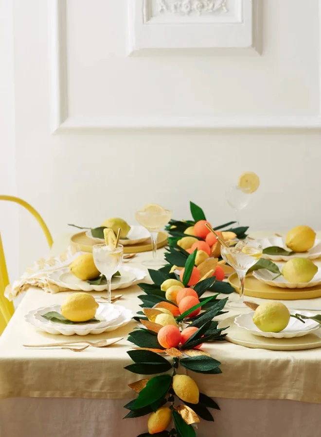 ميري ميري Citrus Fruit Garland