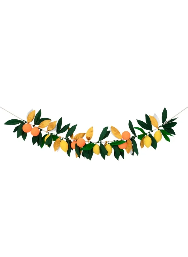 ميري ميري Citrus Fruit Garland