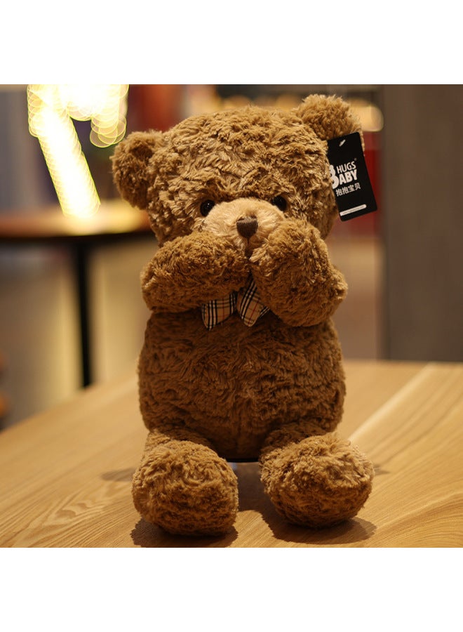 Teddy Bear Doll Hug Bear Plush Toy Bear Doll Bed Sleeping Doll Birthday Gift Girlfriend-Specification:55cm -Colour:Limited Edition + Gift Tote Bag + Red Rose Bouquet - Image 3