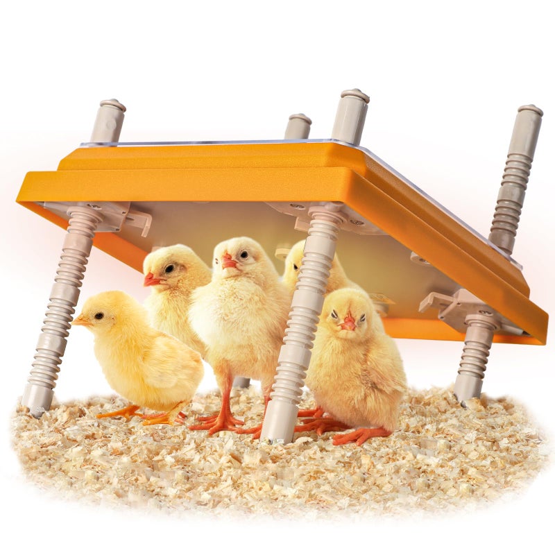 NUGRIART Brooder Heater for Chicks, 10" x 10" for 15 Chicks Heating Plate with Adjustable Height and Angle 15W Chicken Brooder Warm Like Mother Hen - Image 1