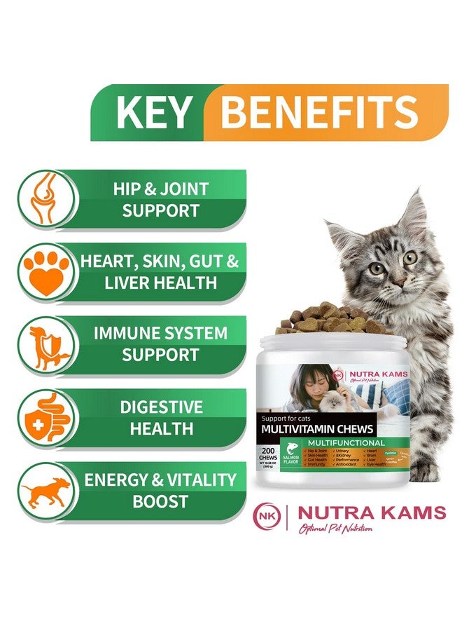 أقراص مضغ متعددة الفيتامينات من نوترا كامز للقطط، مكمل غذائي لمناعة قوية، ودعم الهضم والعناية بالبشرة، 300 جرام، 200 قرص مضغ. - Image 5
