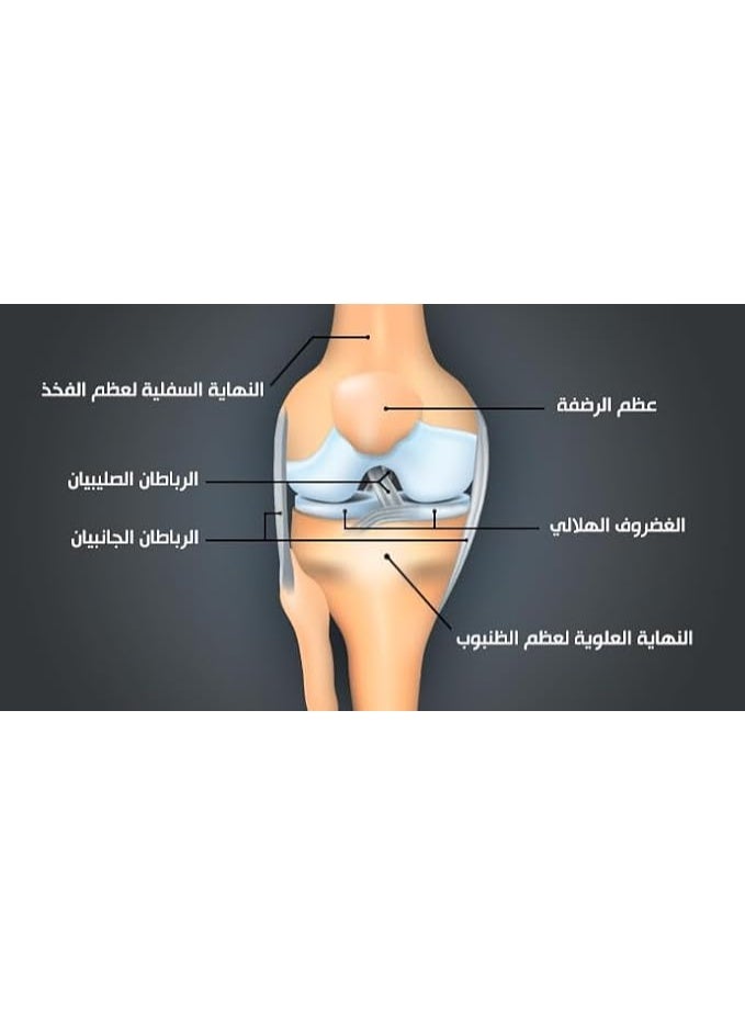 دورق زيت المفاصل ٥٠٠ مل - Image 3