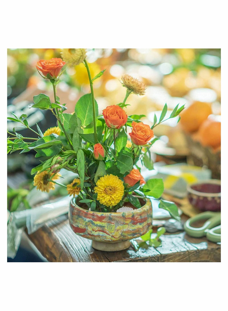 Y&D Flower Frogs Plastic Floral Vase Round Clear Arranger Tool Pin Holder Apanese Arranging Plant Decoration Fixed Supplies with Bottom Home DIY Craft  - Image 3