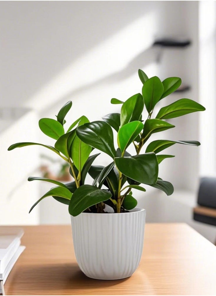 Kutis 1-Piece Simulation Potted Decorative Artificial Bonsai Plant Green Leaf Home Bedroom Living Room Desktop Decoration Green/White 9x27 cm  - Image 1