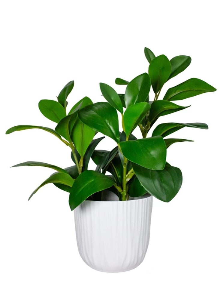 Kutis 1-Piece Simulation Potted Decorative Artificial Bonsai Plant Green Leaf Home Bedroom Living Room Desktop Decoration Green/White 9x27 cm  - Image 3