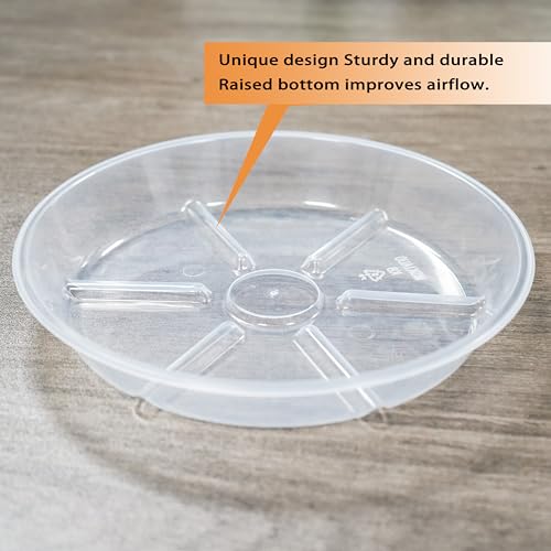 MSKIAUO 4 inch Plant Saucers, 6 Pack Clear Plant Trays, 5" (5.5" top diameter) Durable Round Plastic Flower Plant Water Drip Tray for Pots Planter, Plant Dish Pant Plate to Catch Water for Indoor & Outdoor - Image 5