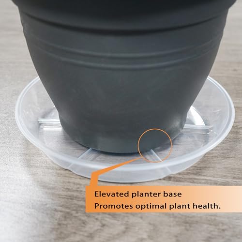 MSKIAUO 4 inch Plant Saucers, 6 Pack Clear Plant Trays, 5" (5.5" top diameter) Durable Round Plastic Flower Plant Water Drip Tray for Pots Planter, Plant Dish Pant Plate to Catch Water for Indoor & Outdoor - Image 4