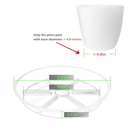 MSKIAUO 4 inch Plant Saucers, 6 Pack Clear Plant Trays, 5" (5.5" top diameter) Durable Round Plastic Flower Plant Water Drip Tray for Pots Planter, Plant Dish Pant Plate to Catch Water for Indoor & Outdoor - Image 2