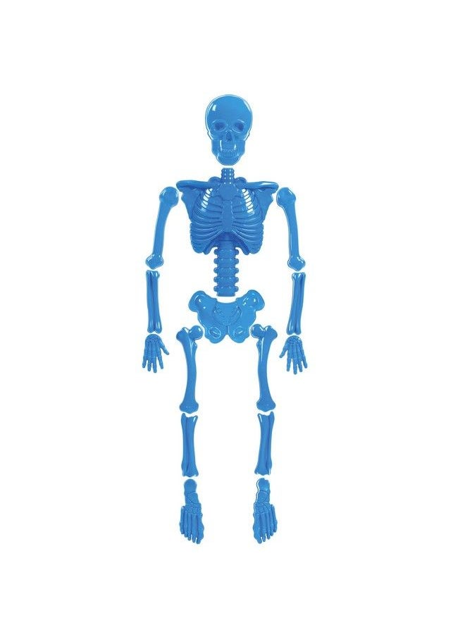 Toysmith - Bag O'Beach Bones Playset 14 Life Size Bone Sand Molds For Boys & Girls Ages 3+ - Image 1