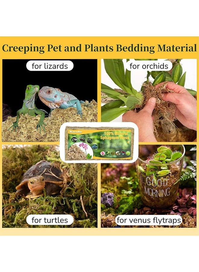 الضفدع الحقيقي 2 * 150 جرام من الطحالب الصناعية الخضراء المصنوعة يدويًا، طحالب الخث الاصطناعية المزروعة في أصيص، طحالب الأوركيد المزروعة في أصيص، طحالب الخث الاصطناعية المختلطة، عمود مصباح، زهور، ديكور زفاف - Image 3