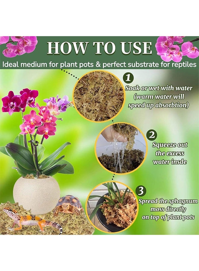 الضفدع الحقيقي 2 * 150 جرام من الطحالب الصناعية الخضراء المصنوعة يدويًا، طحالب الخث الاصطناعية المزروعة في أصيص، طحالب الأوركيد المزروعة في أصيص، طحالب الخث الاصطناعية المختلطة، عمود مصباح، زهور، ديكور زفاف - Image 5