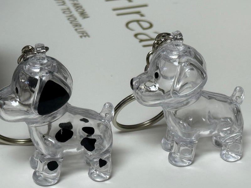EPMANN Dog Hair Collector Keychain Charm Memorial Storage Box, Transparent Bottle for Pet Hairs Keychain, Pets Fur Keepsake Keyring for Collecting Hair, Portable Pet Memory Capsule(6) - Image 3
