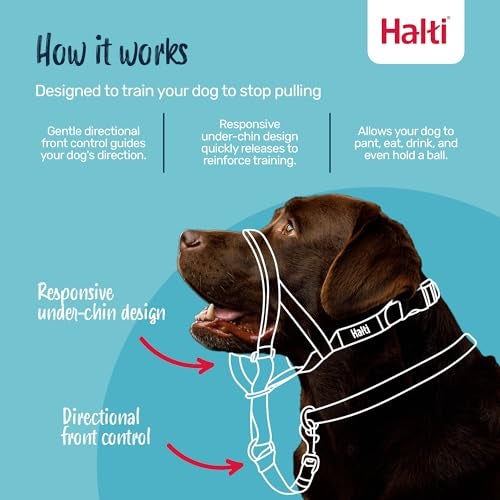 Halti Headcollar Stop Your Dog Pulling on The Leash Adjustable Reflective and Lightweight with Padded Nose Band Dog Training AntiPull Collar for Small Dogs Size 1 Desert Sand - Image 3