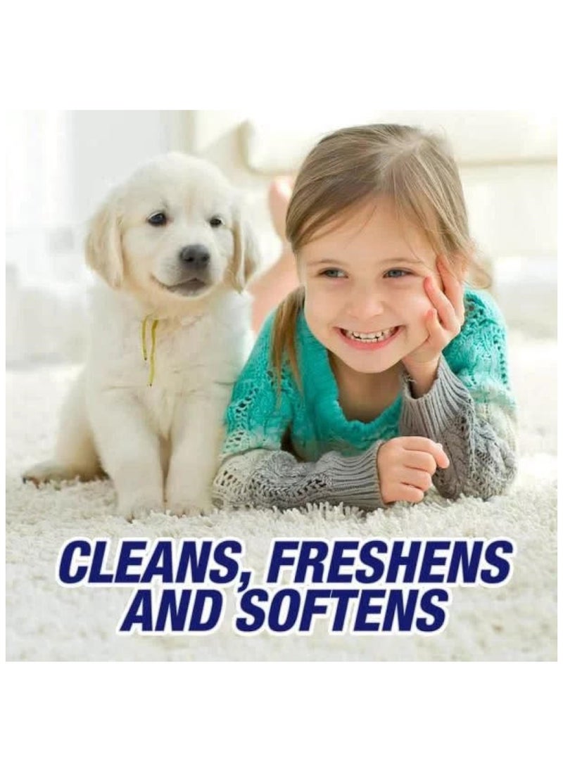 Classic Carpet Cleaner & Rug Shampoo 454 G  - Image 2