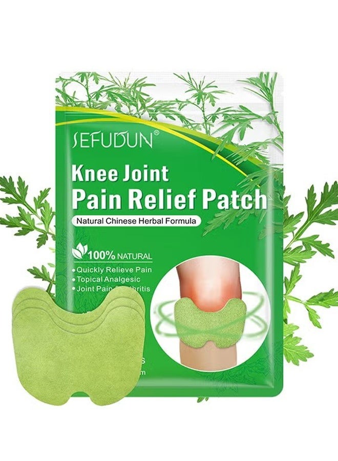 Sefudun Topical Ginger Knee Pain Relief Patch, Herbal Knee Therapy Patch Knee Pain Relief Patch, 12Patches - Image 1