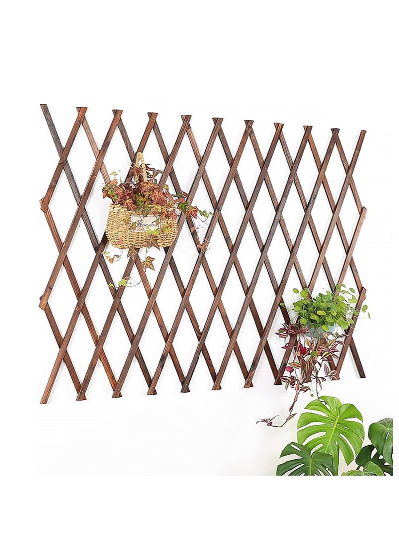 Generic 𝐅𝐅𝐃 Expandable Wooden Garden Fence - Adjustable and Portable Privacy Screen for Indoor & Outdoor Use, Durable Expanding Wooden Trellis for Climbing Plants, Patio, Yard, and Decorative Garden Barrier  - Image 1