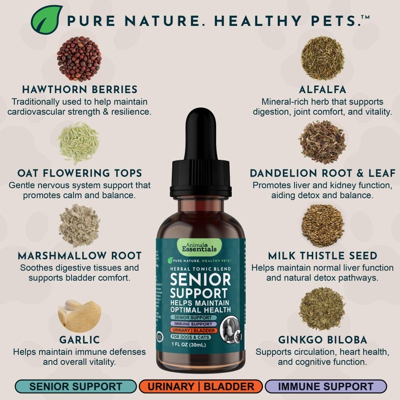 Animal Essentials Senior Support for Dogs & Cats Supplement - Milk Thistle, For Old Cats & Dogs, Pet Kidney Support, Herbal Supplement - 1 Fl Oz - Image 4