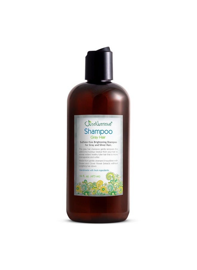 Just Nutritive Just Nutritive Gray Hair Shampoo | Gray Hair Treatment | Just Natural Hair Care | Natural Shampoo 16 Oz  - Image 1