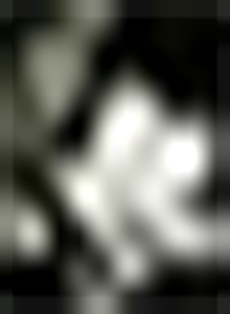 GGOOT 20pcs White Lotus seeds No Need to Maintain Too Much Easy to Plant Anywhere in The Garden to Attract Bees and Butterflies to Bring Artistic Landscape - Image 2